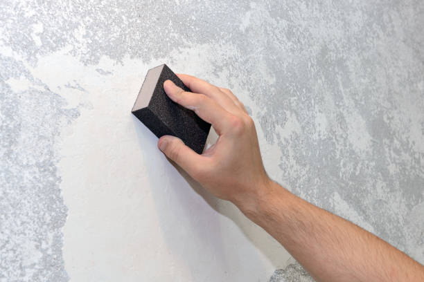 Best Industrial Mold Remediation  in Granville, OH