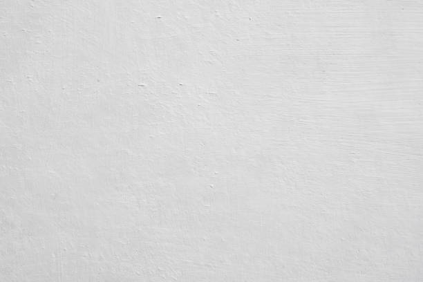 Mold Documentation for Insurance Claims in Granville, OH